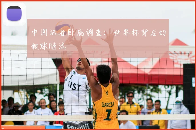 中国记者卧底调查:世界杯背后的假球暗流
