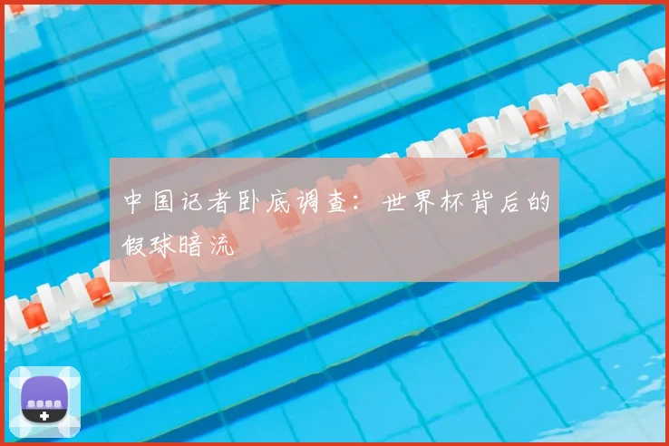 中国记者卧底调查:世界杯背后的假球暗流